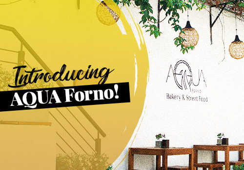 Introducing AQUA Forno!