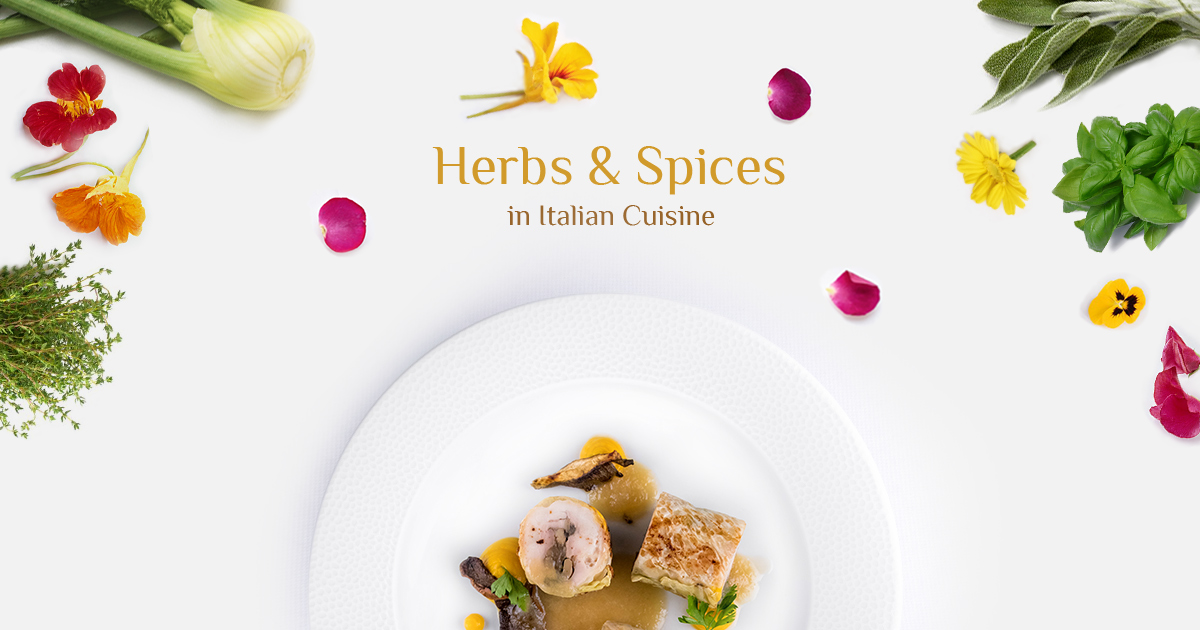 Herbs and Spices used in Italian Cuisine AQUA Forte