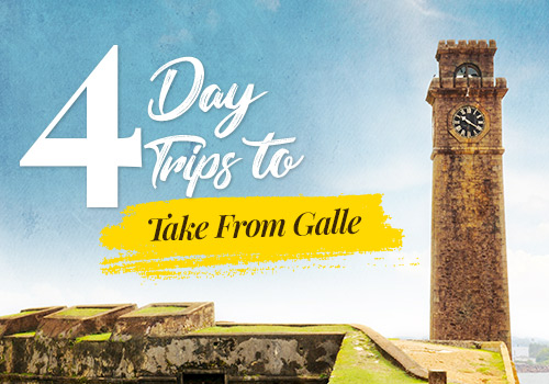 4 Day Trips to Take From Galle