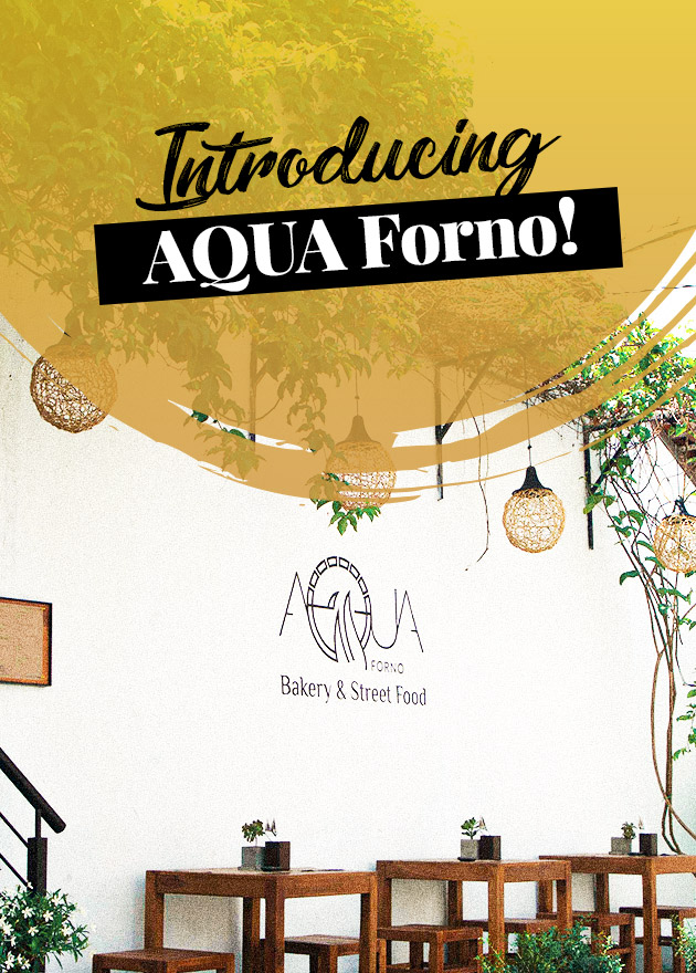Introducing AQUA Forno!