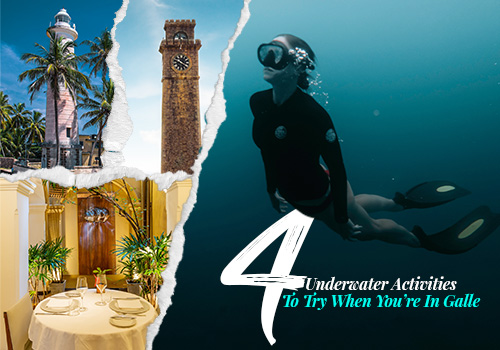 4 Underwater Activities To Try When You’re In Galle