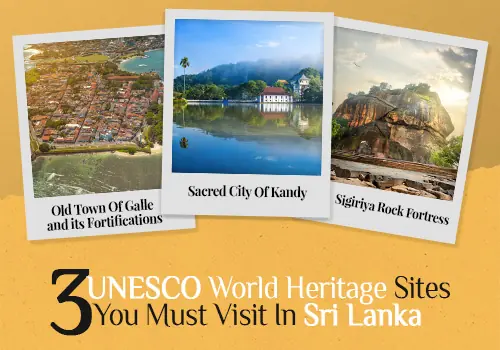 3 UNESCO World Heritage Sites You Must Visit In Sri Lanka