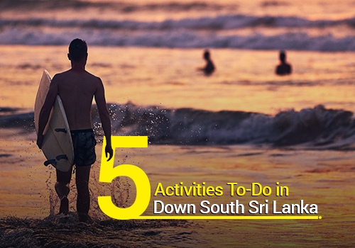 5 Activities To-Do in the Southern Coast of Sri Lanka