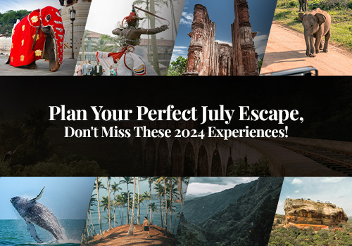 Plan Your Perfect July Escape, Don't Miss These 2024 Experiences!
