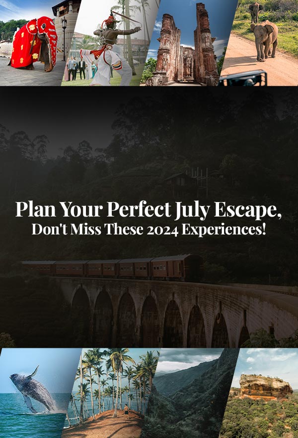 Plan Your Perfect July Escape, Don't Miss These 2024 Experiences!